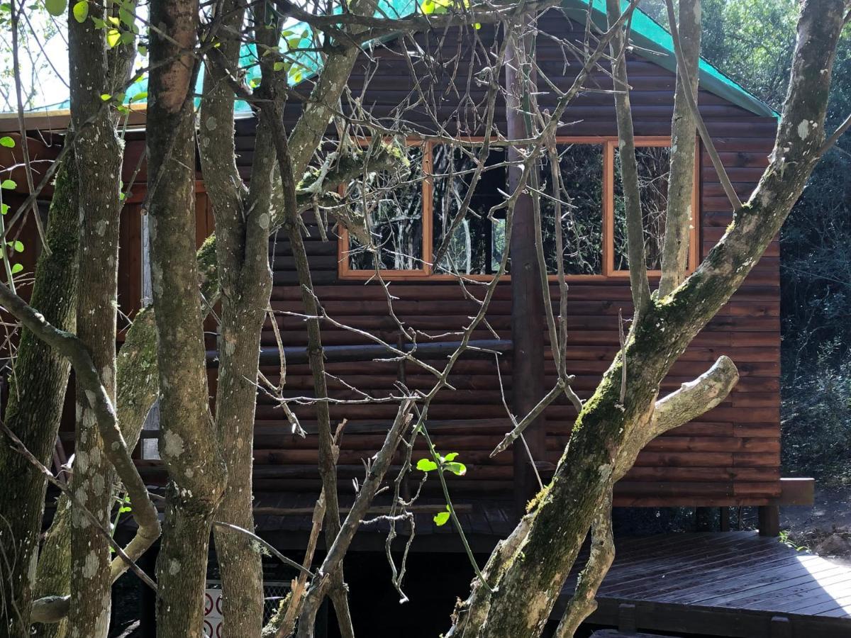 Teniqua Treetops Karatara Settlement Exteriör bild