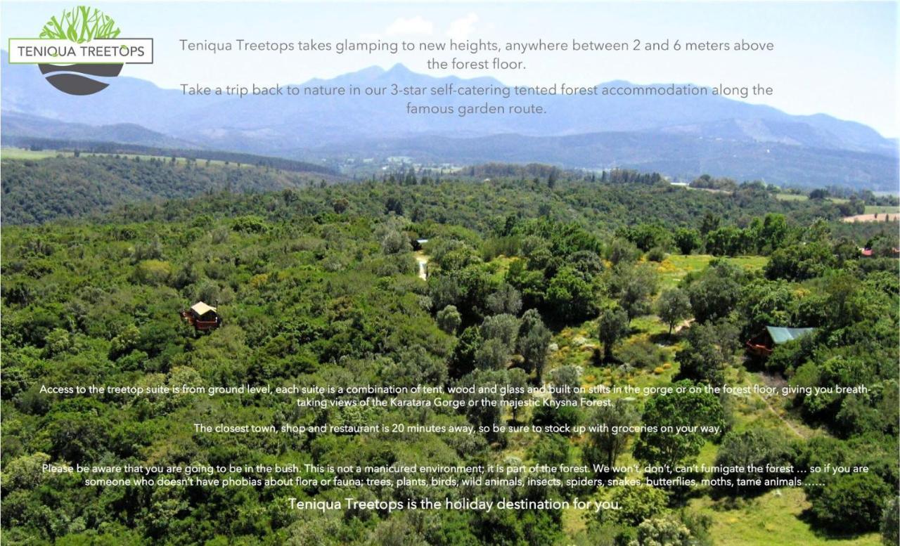 Teniqua Treetops Karatara Settlement Exteriör bild