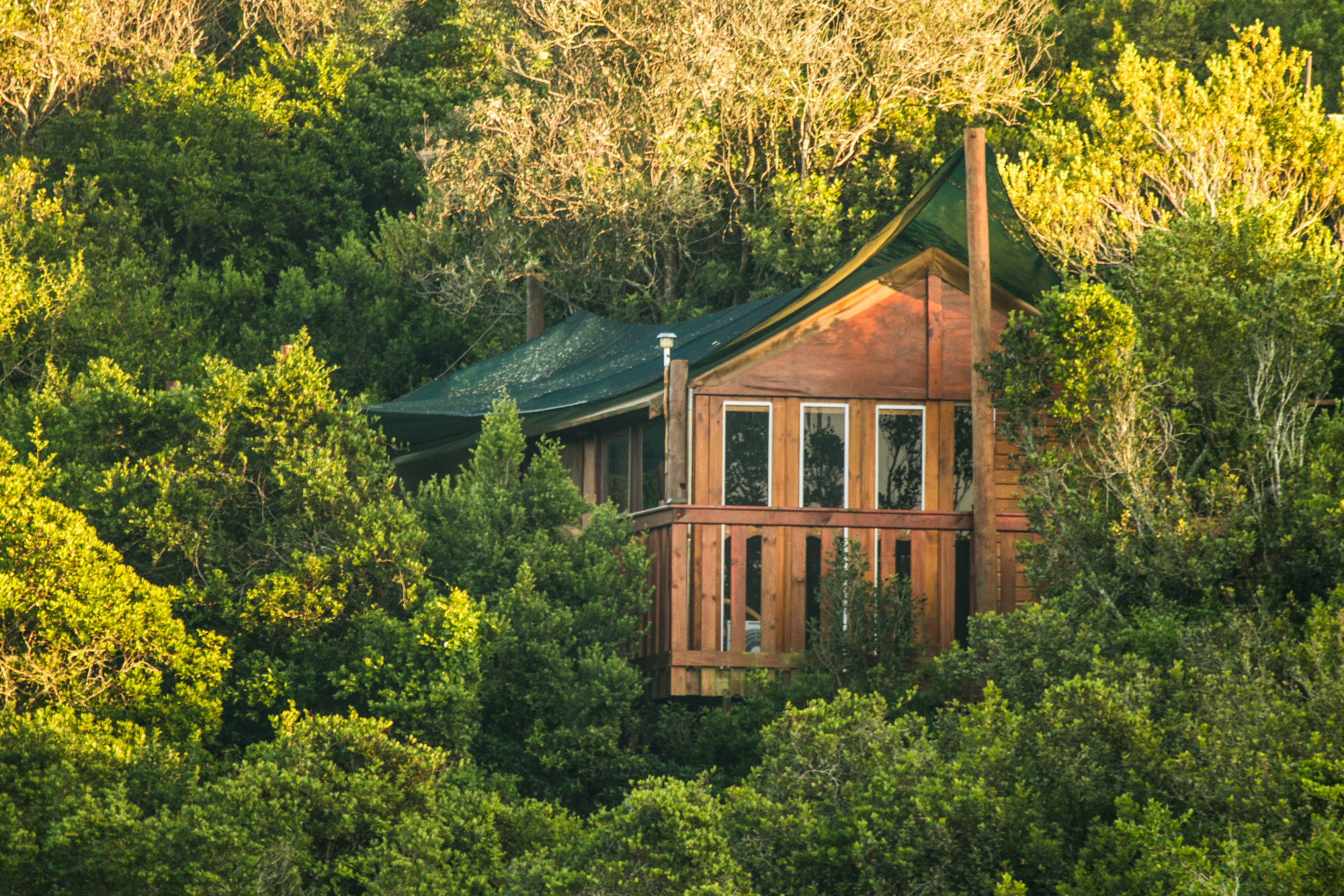 Teniqua Treetops Hotell Karatara Settlement Exteriör bild